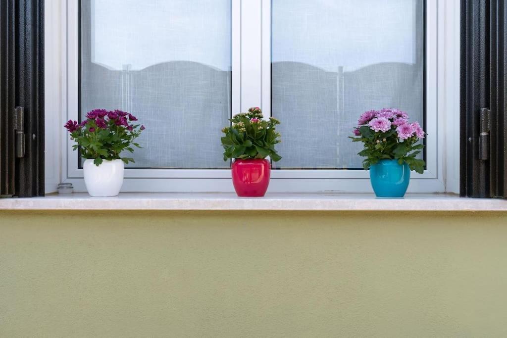 La Casa Di Zoe *